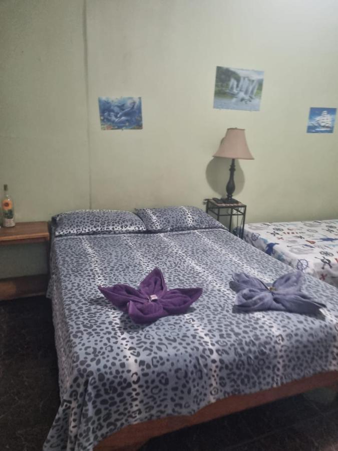 Hotel Paradise Alajuela Рио-Сегундо Экстерьер фото