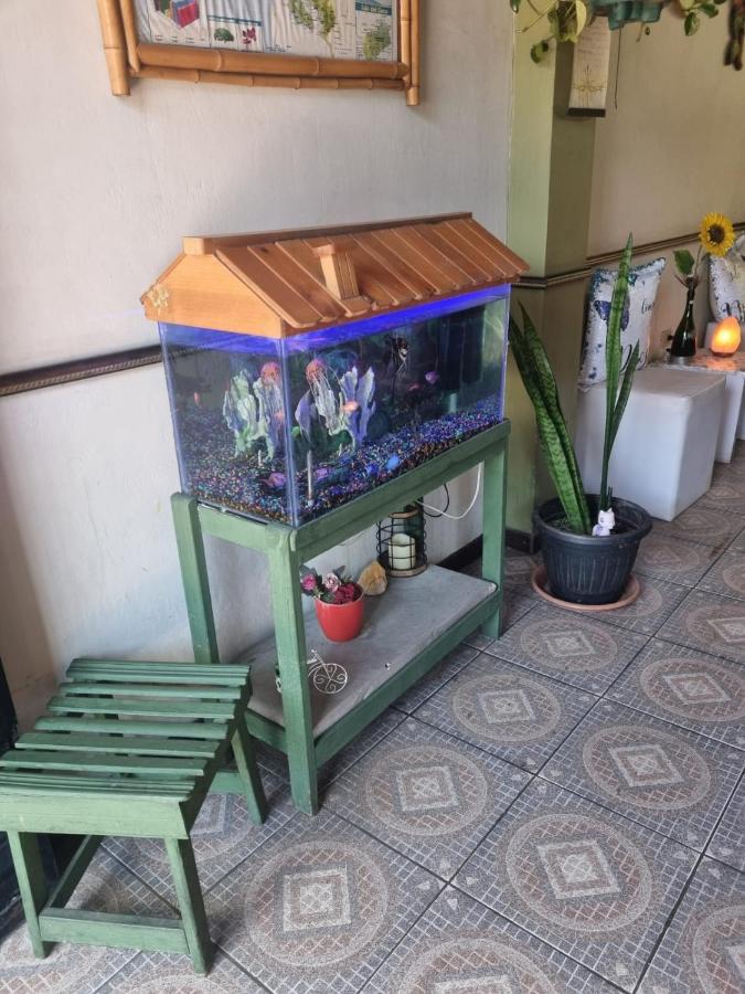 Hotel Paradise Alajuela Рио-Сегундо Экстерьер фото